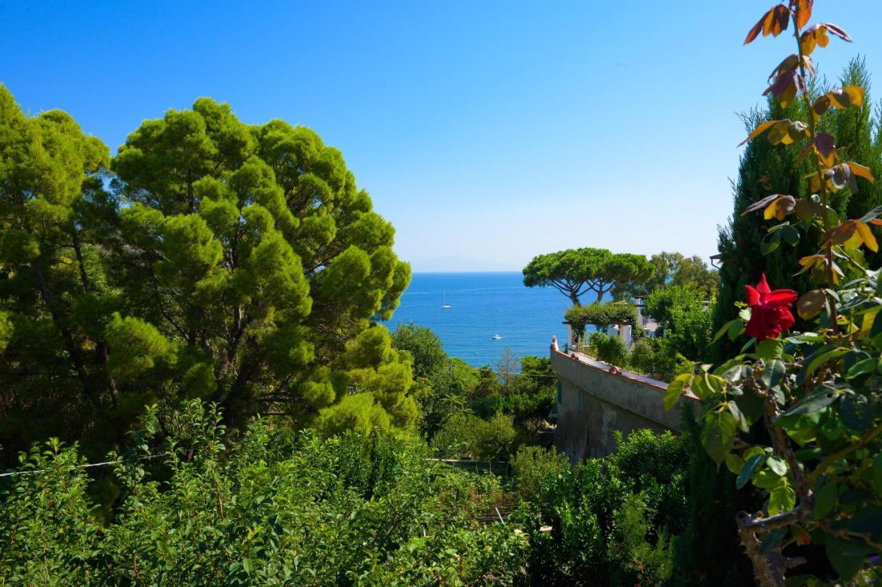 Hotel Parco Cartaromana Ischia Exteriér fotografie