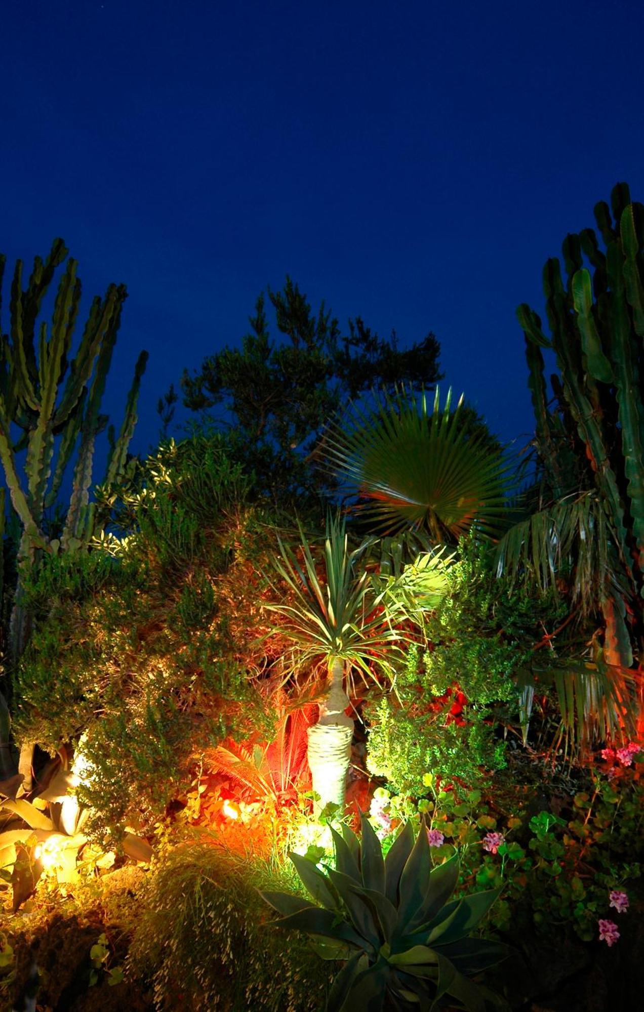 Hotel Parco Cartaromana Ischia Exteriér fotografie