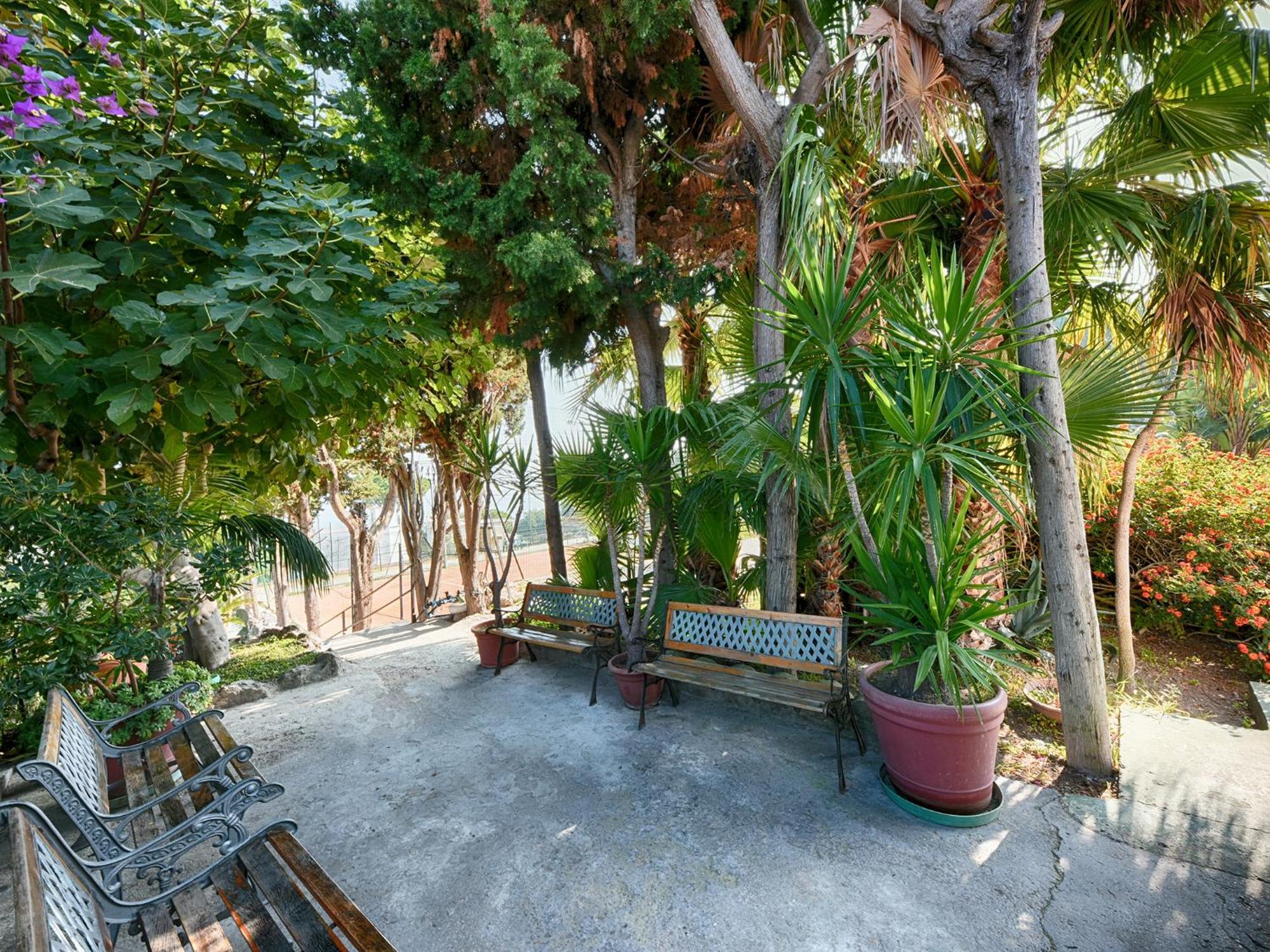 Hotel Parco Cartaromana Ischia Exteriér fotografie
